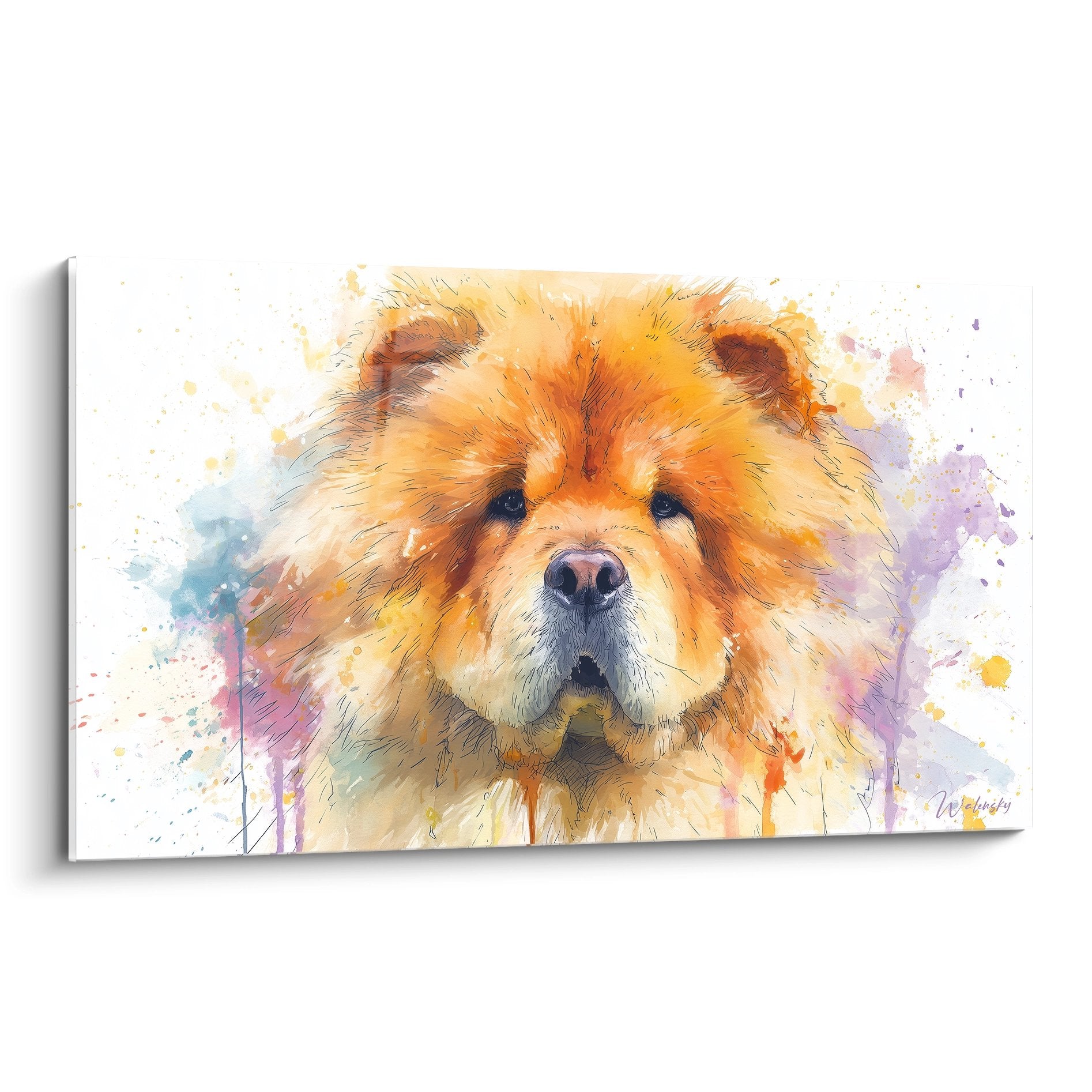 Portrait de Chow Chow aux tons dorés et orangés avec éclaboussures aquarelle colorées sur fond blanc