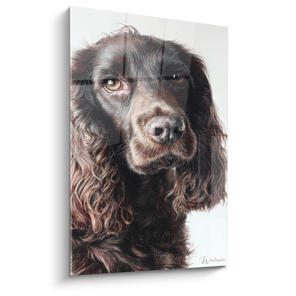Cuadro del Cocker Americano con Ojos Dorados - Retrato Melancólico - Edición Cocker Americano