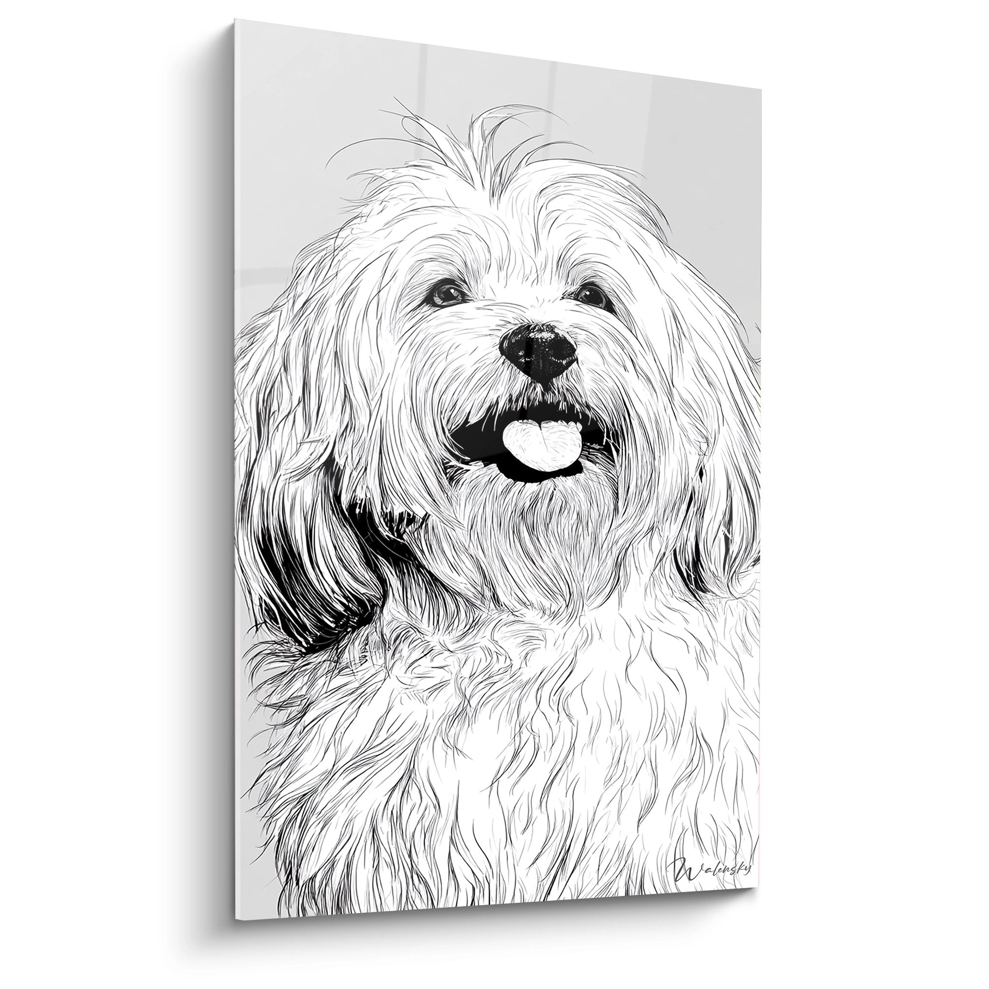 Portrait dessiné d'un Coton de Tuléar blanc souriant au pelage soyeux sur fond gris clair