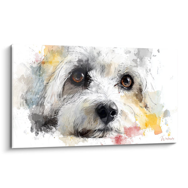 Cuadro Retrato Canino de Ojos Ámbar - Mirada Tierna - Edición Coton de Tuléar