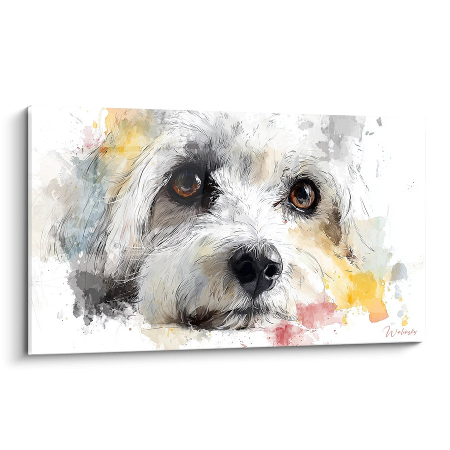 Tableau Portrait Canin aux Yeux Ambrés - Regard Tendre - Edition Coton de Tuléar