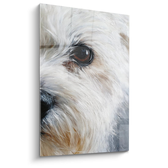Portrait coton de tulear oeil brun expressif pelage blanc creme peinture realiste chien mignon tableau mural