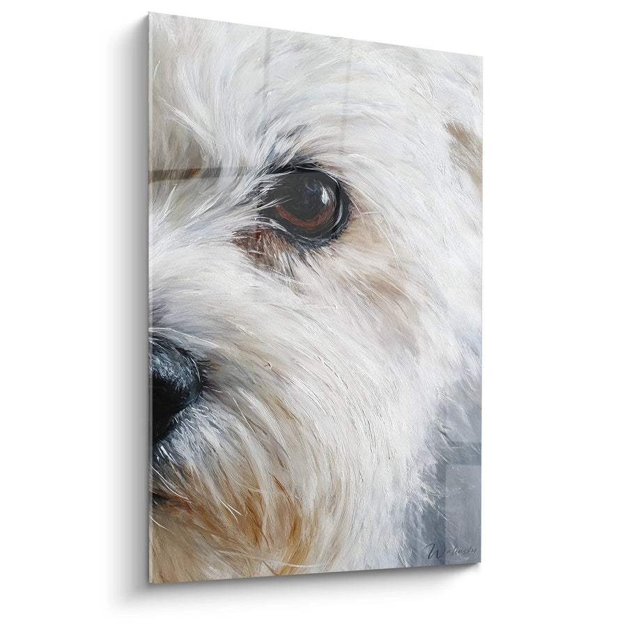 Tableau Portrait Canin Œil Brun Expressif - Regard Tendre - Edition Coton de Tuléar