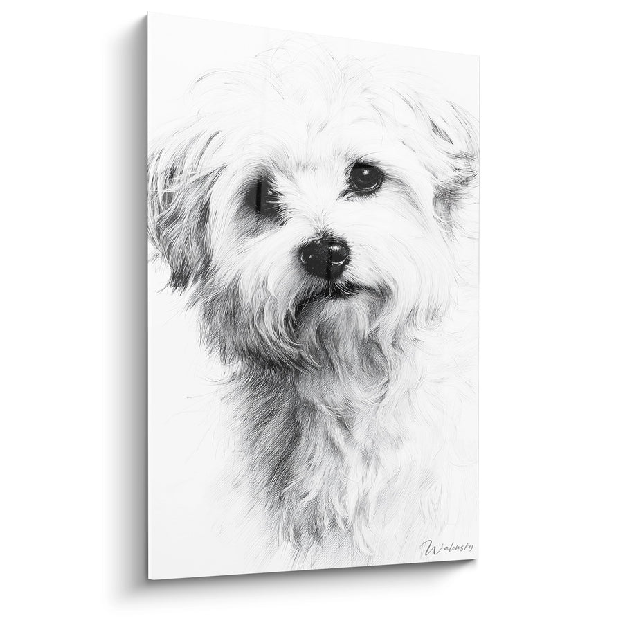 Schilderij Portret van een Hond met Wit en Zacht Vacht - Teder Gelaat - Editie Coton de Tuléar