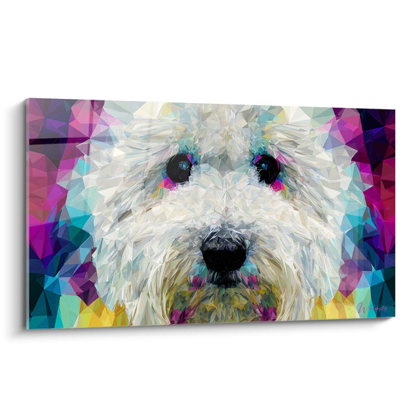 Cuadro de Perro Blanco con Ojos Expresivos Poligonales - Mirada Tierna - Edición Coton de Tuléar