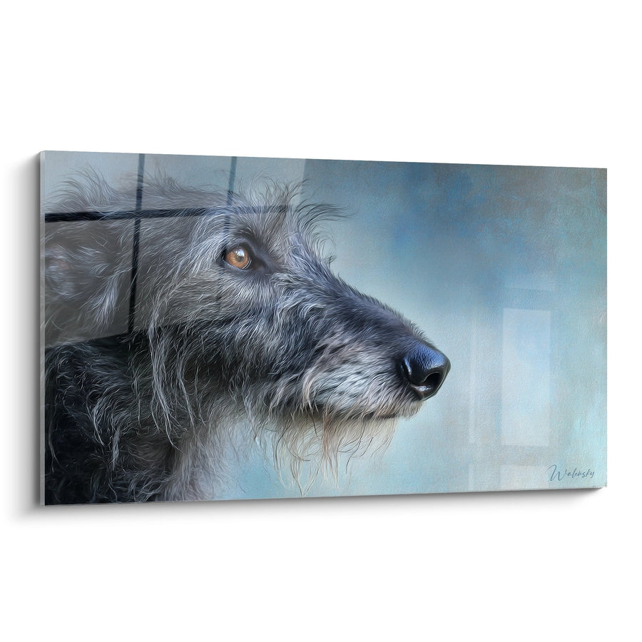 Wandbild Hundeportrait Grauer Hund mit Bernsteinaugen - Kontemplativer Blick - Deerhound Edition
