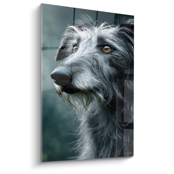 Cuadro Retrato de Galgo Irlandés Majestuoso de Ojos Dorados - Elegancia Natural - Edición Galgo Irlandés