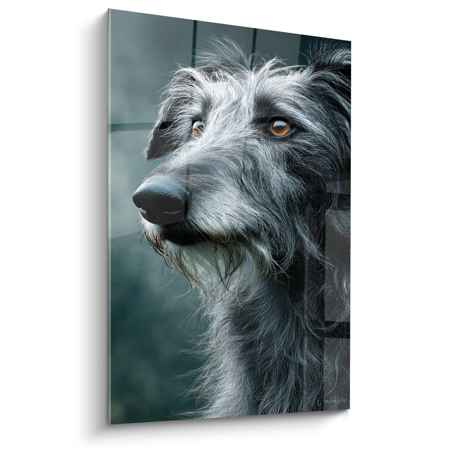 Majestätisches Deerhound-Porträt mit goldenen Augen - Natürliche Eleganz - Deerhound-Edition