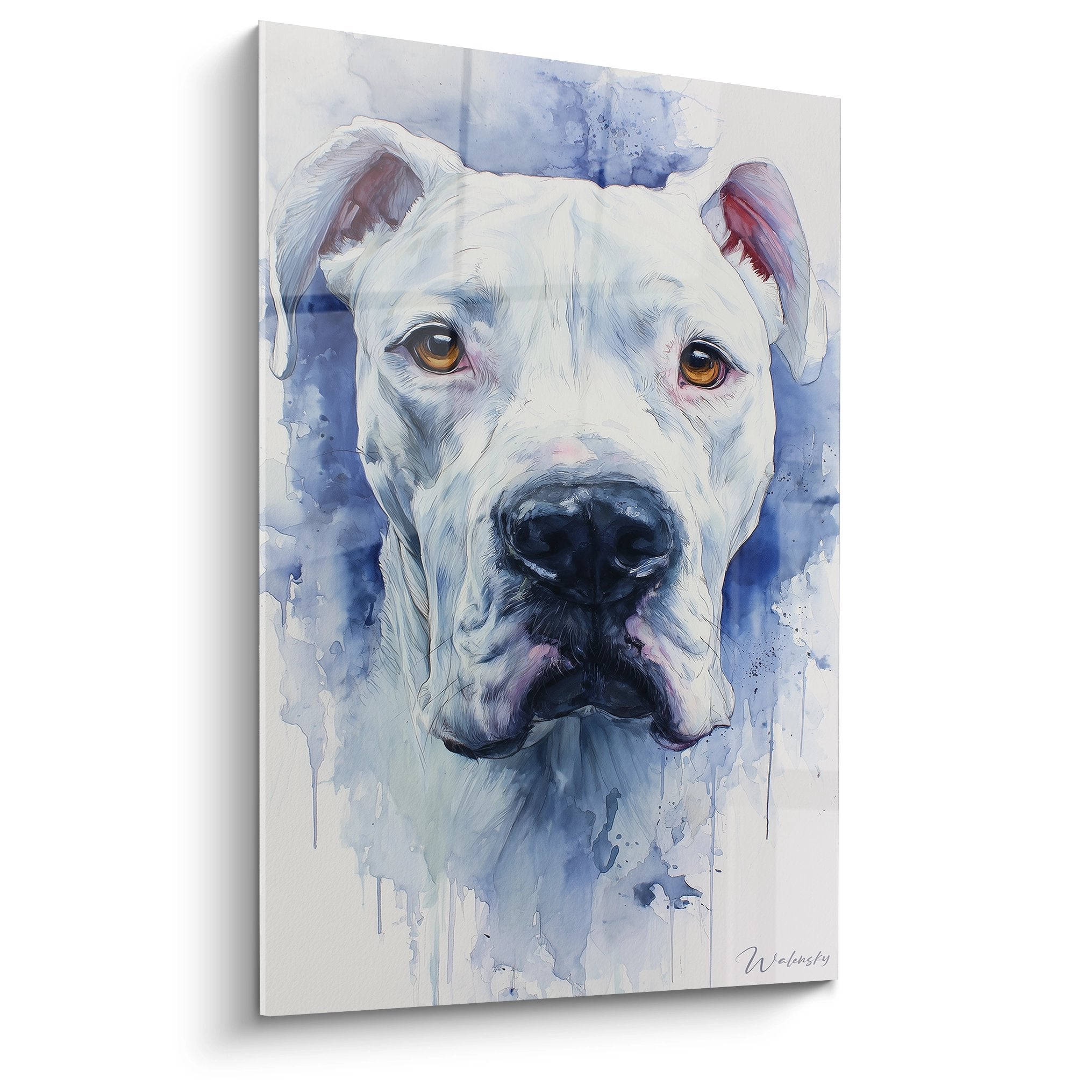 Portrait aquarelle Dogue Argentin blanc aux yeux ambrés sur fond bleu avec coulures artistiques