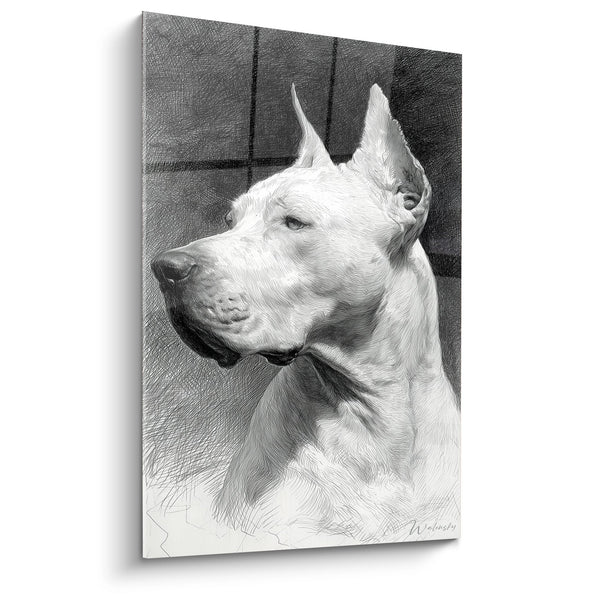 Cuadro Retrato de Perro Blanco con Orejas Erectas - Mirada Noble - Edición Dogo Argentino