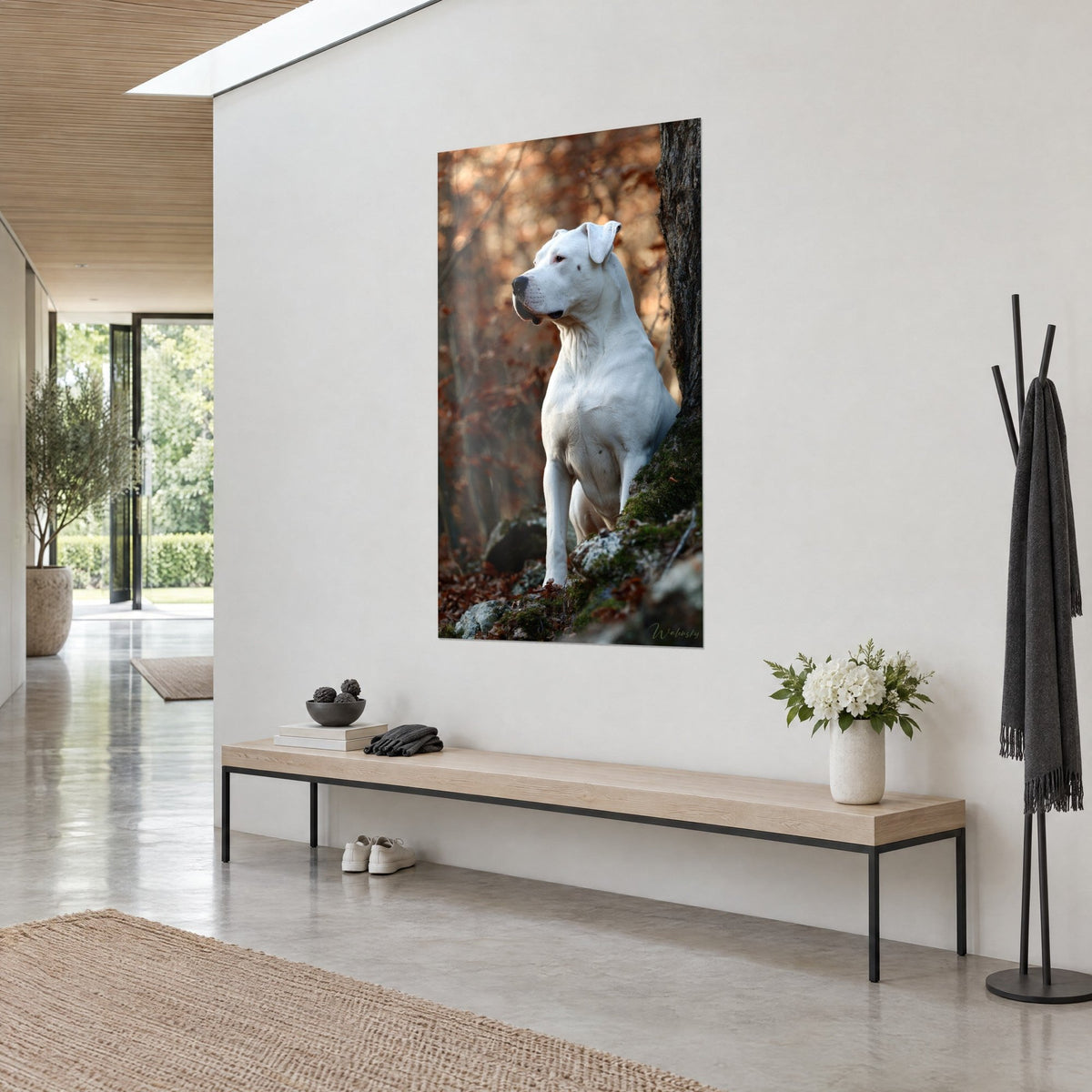 Tableau molosse au pelage ivoire, oreille repliée et regard au loin, fond roux flou, vue de trois-quarts sur un mur blanc