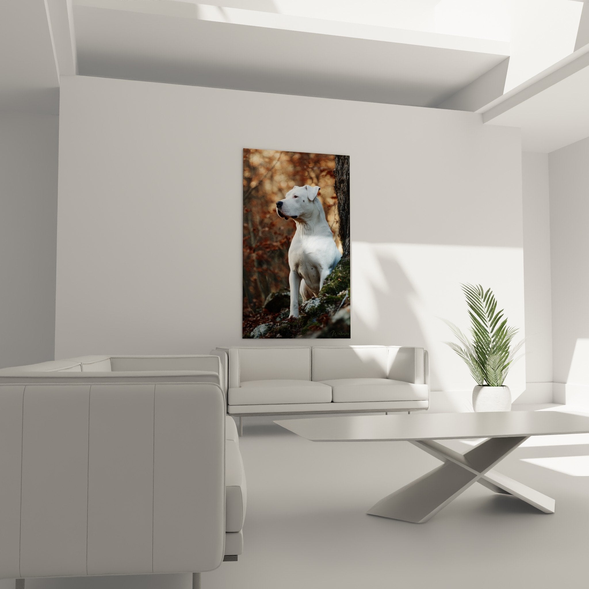 Detail pelage blanc dogue argentin portrait canin lumiere douce naturelle qualite artistique