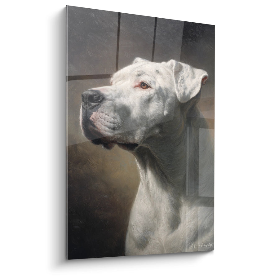 Tableau Portrait Dogue Blanc aux Yeux Ambrés - Regard Noble - Edition Dogue Argentin