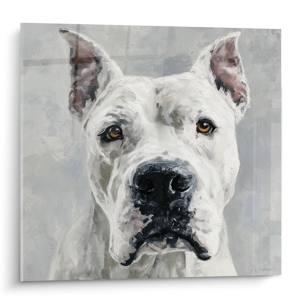 Cuadro Retrato Canino Blanco con Ojos Ámbar - Mirada Intensa - Edición Dogo Argentino