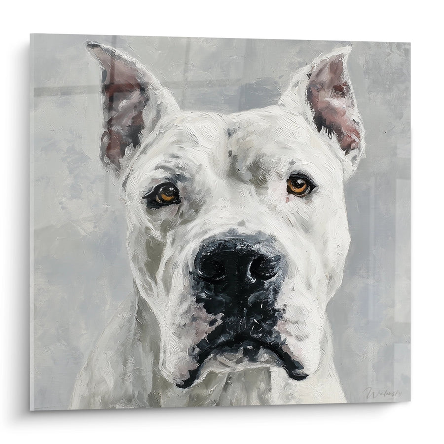 Tableau Portrait Canin Blanc aux Yeux Ambrés - Regard Intense - Edition Dogue Argentin