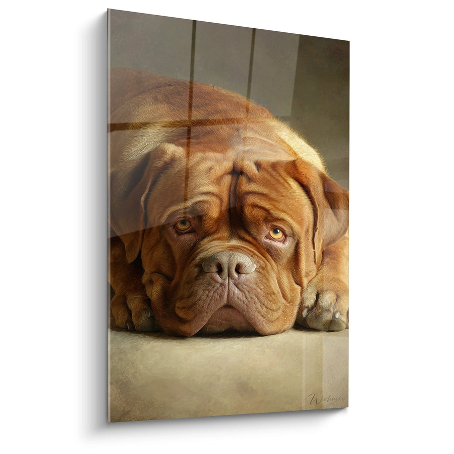 Tableau Dogue de Bordeaux Allongé aux Yeux Mélancoliques - Repos Contemplatif - Edition Dogue de Bordeaux