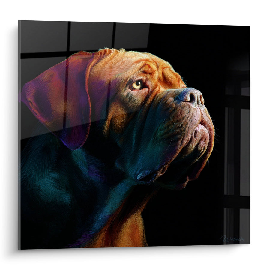 Tableau Dogue de Bordeaux Portrait Coloré - Regard Intense - Edition Dogue de Bordeaux
