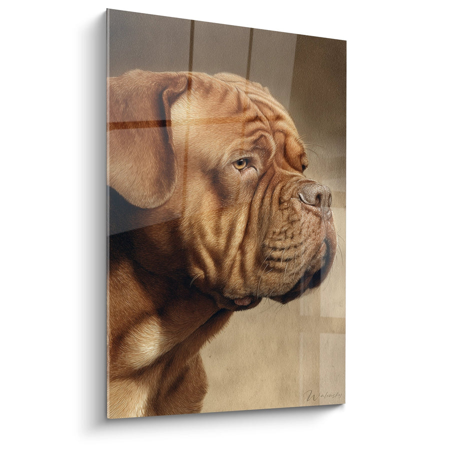 Tableau Portrait de Dogue aux Tons Dorés - Majesté Canine - Edition Dogue de Bordeaux