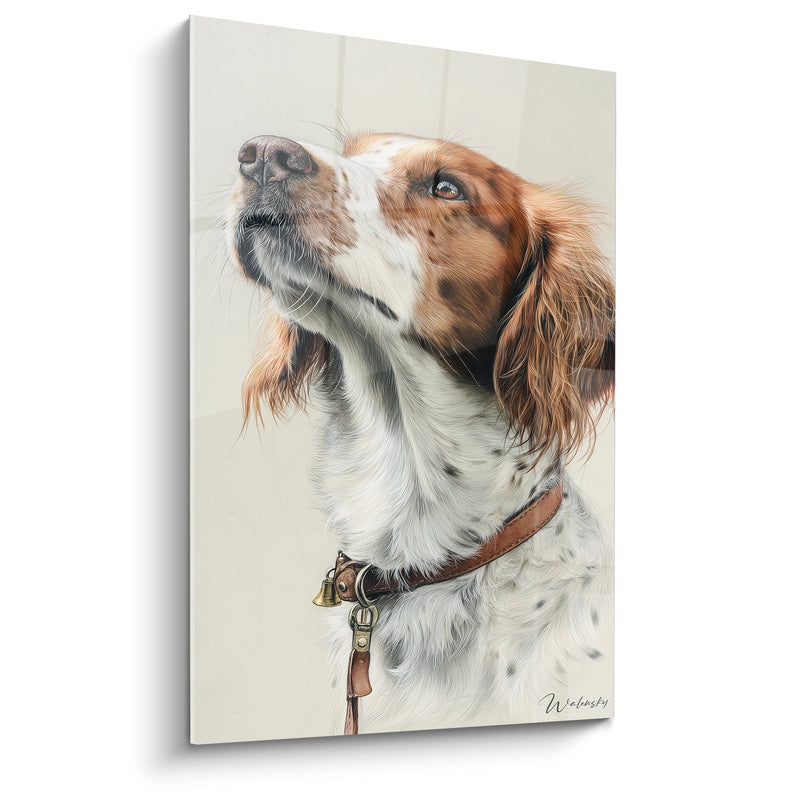 Tableau Épagneul Breton Portrait Regard Levé vers le Ciel - Élégance Canine - Édition Épagneul Breton