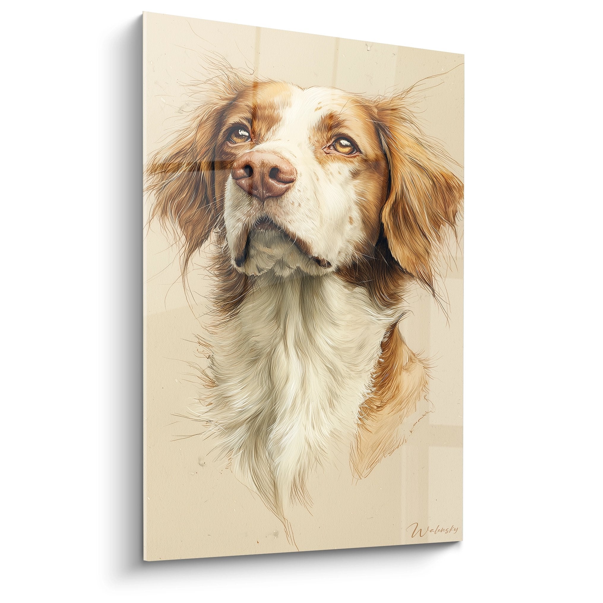 portrait artistique epagneul breton roux blanc yeux dores fond beige regard tendre expressif