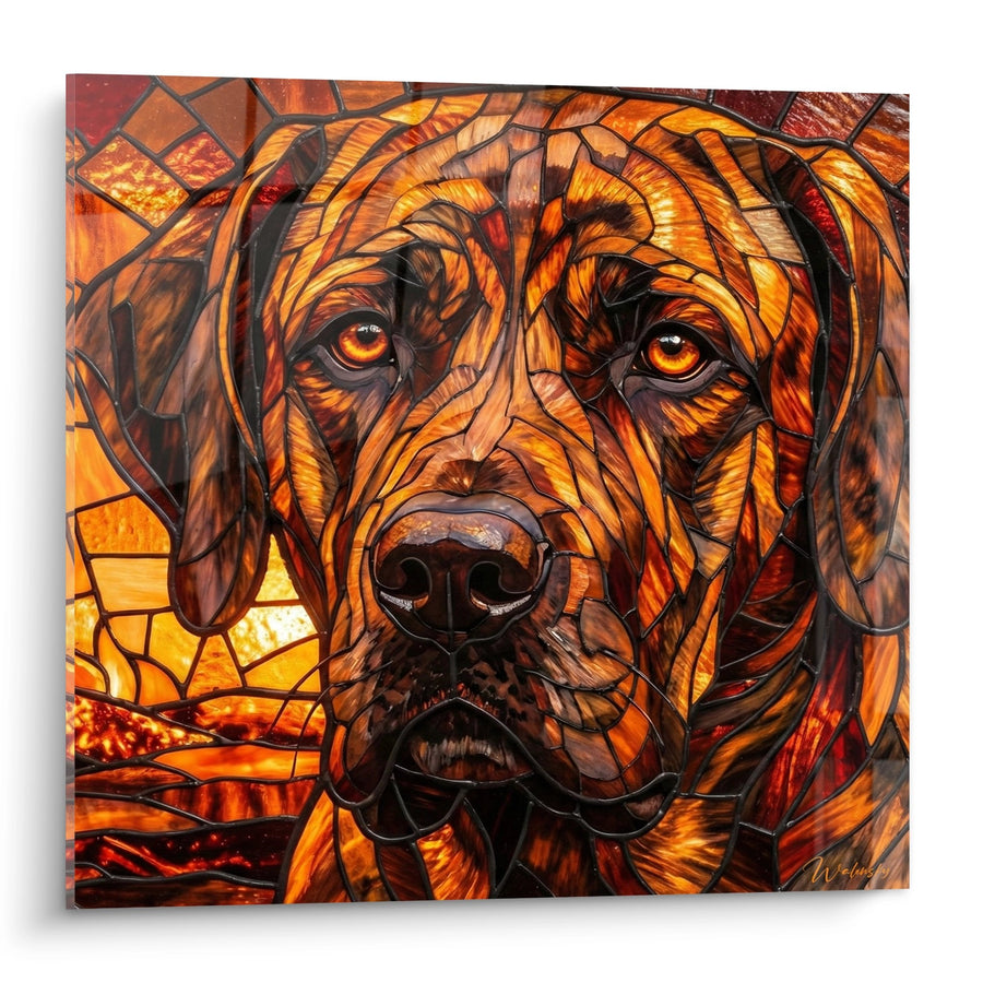 Tableau Chien aux Tons Ambrés et Vitraux - Portrait Mosaïque - Edition Fila Brasileiro