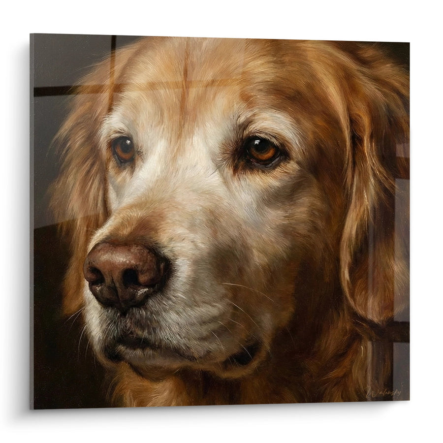Obraz Portret Golden Retrievera z Bursztynowymi Oczami - Spojrzenie Pełne Tęsknoty - Edycja Obrazu Golden Retrievera