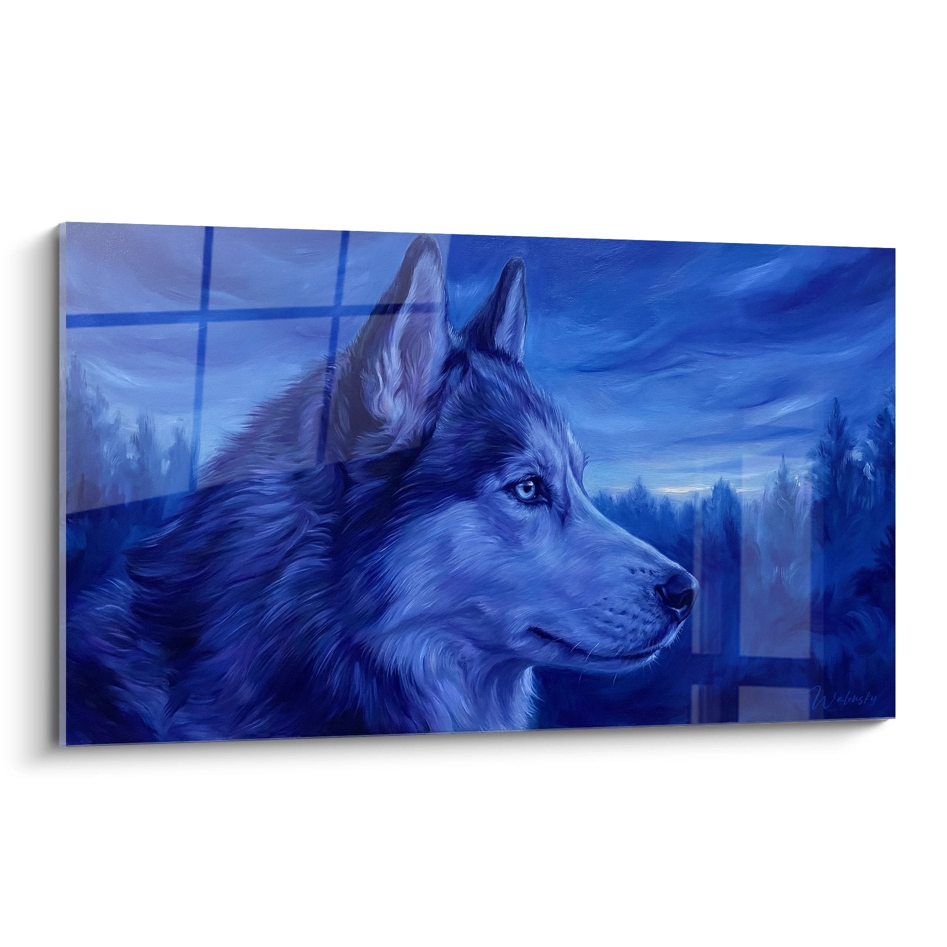 Portrait artistique husky siberien tons bleus profils regard contemplatif arriere plan flou fenetre