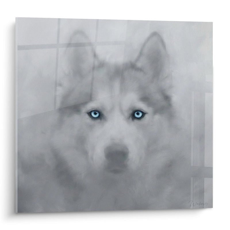 Tableau Husky aux Yeux Bleus Perçants - Regard Magnétique - Edition Husky Sibérien
