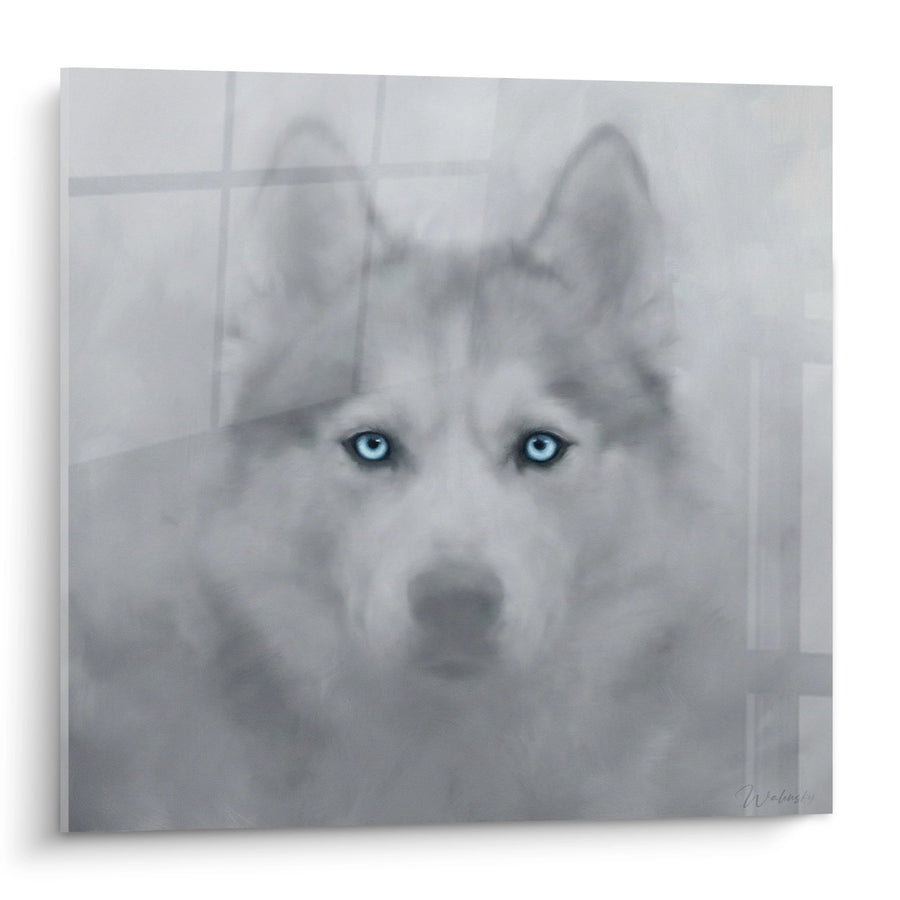 Tableau Husky aux Yeux Bleus Perçants - Regard Magnétique - Edition Husky Sibérien