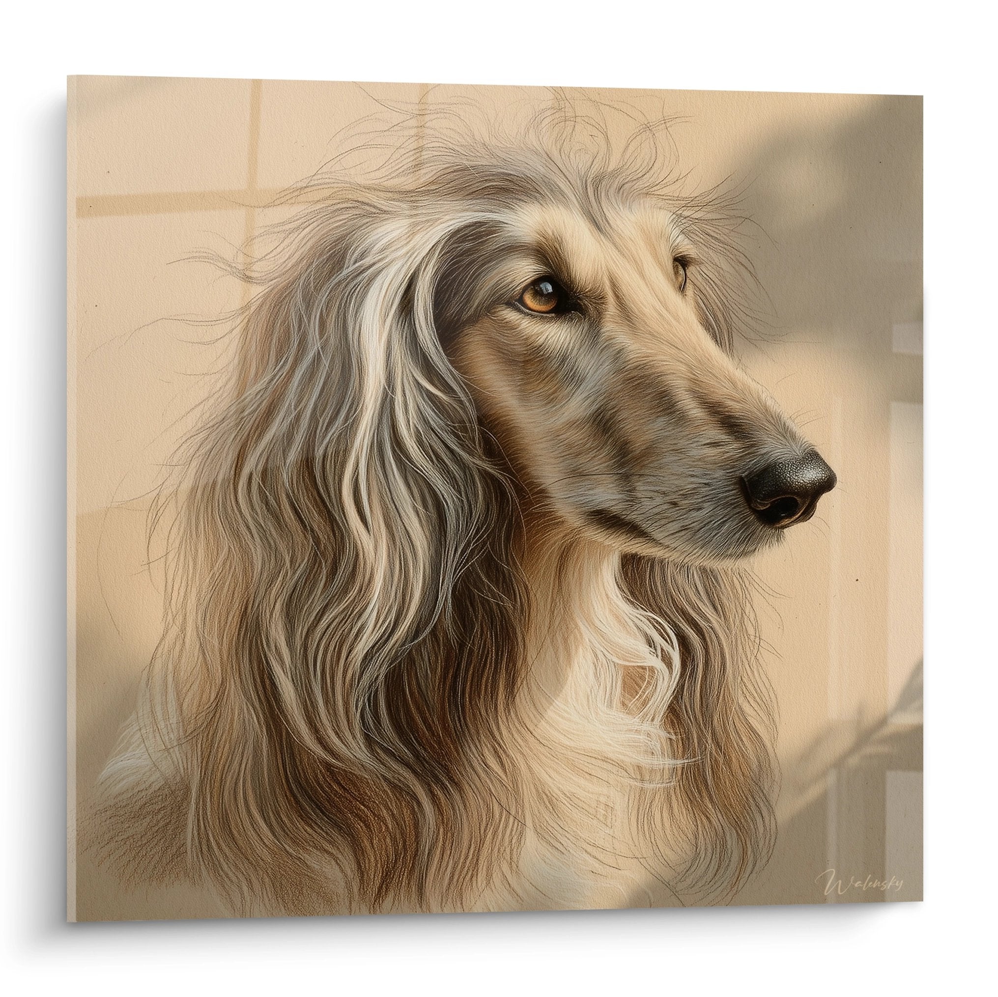 Portrait artistique de Levrier Afghan aux tons dorés et beiges avec regard ambré expressif sur fond neutre