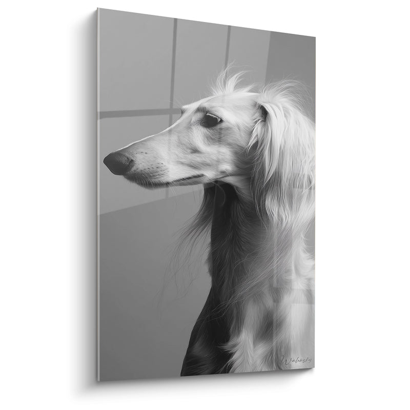 Greyhound Portrait Wall Art in Black and White - Silent Nobility - Saluki Edition
