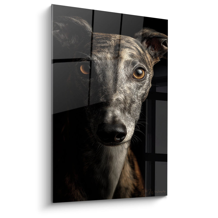Tableau Portrait de Lévrier aux Yeux Ambrés - Regard Profond - Edition Lévrier Whippet