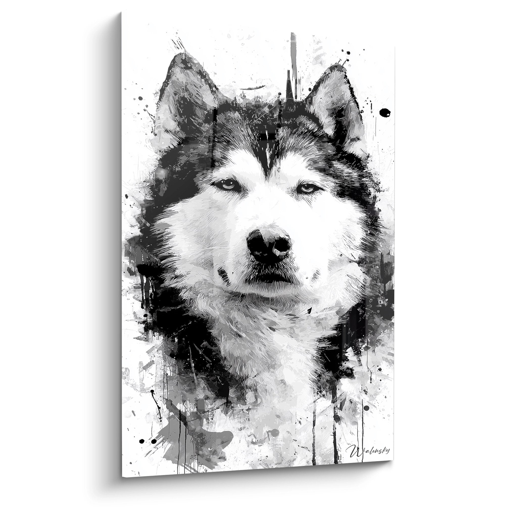Portrait artistique Malamute Alaska noir et blanc avec regard intense et eclaboussures
