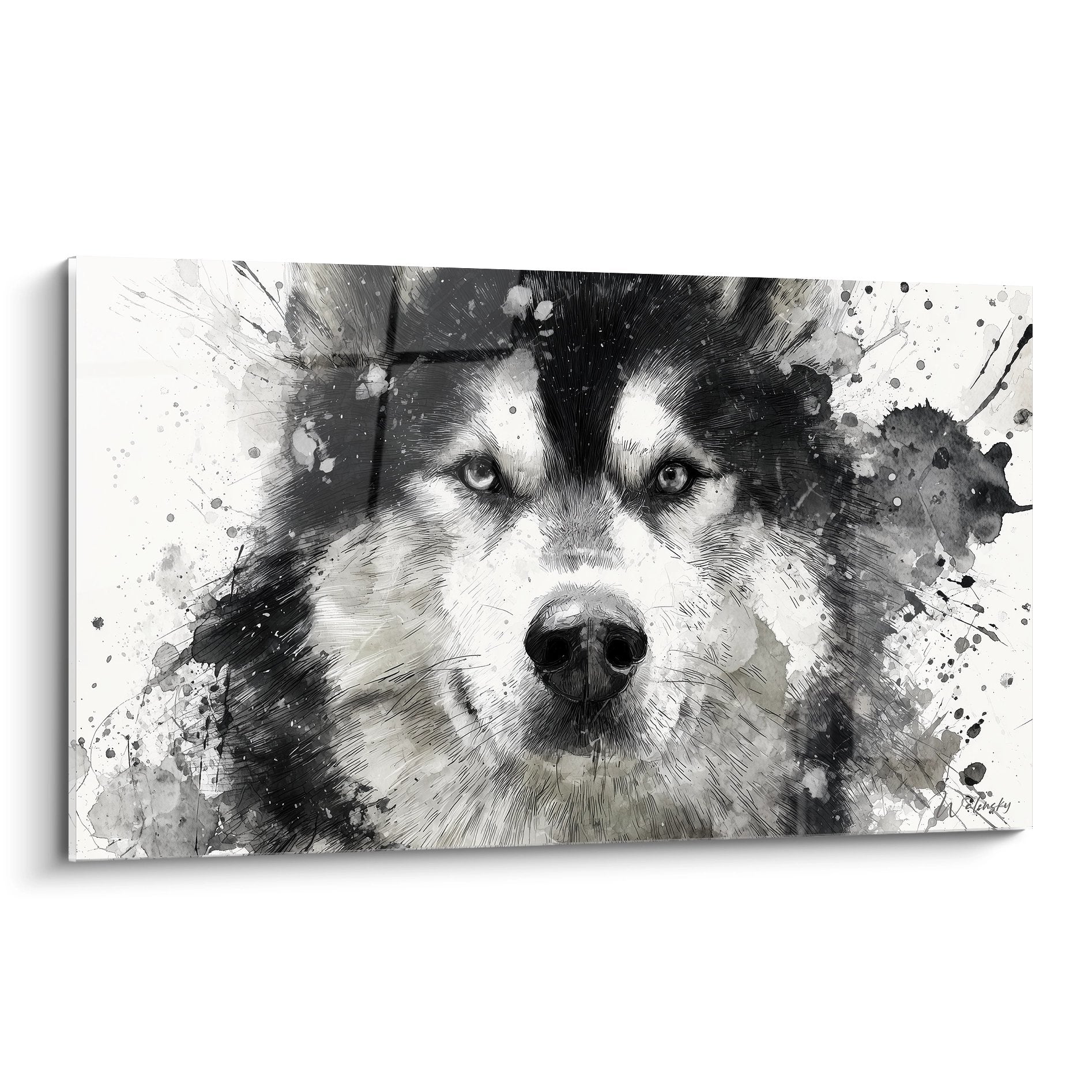 Portrait artistique Malamute Alaska noir blanc yeux bleus eclaboussures grises style contemporain