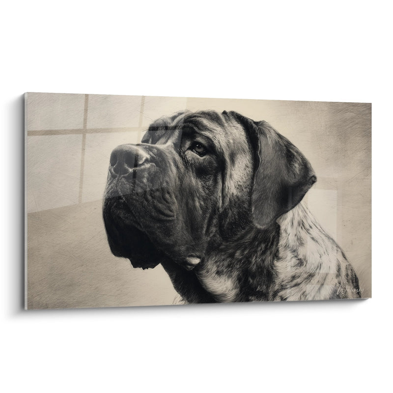 Black and White Dog Portrait Wall Art - Contemplative Gaze - English Mastiff Edition