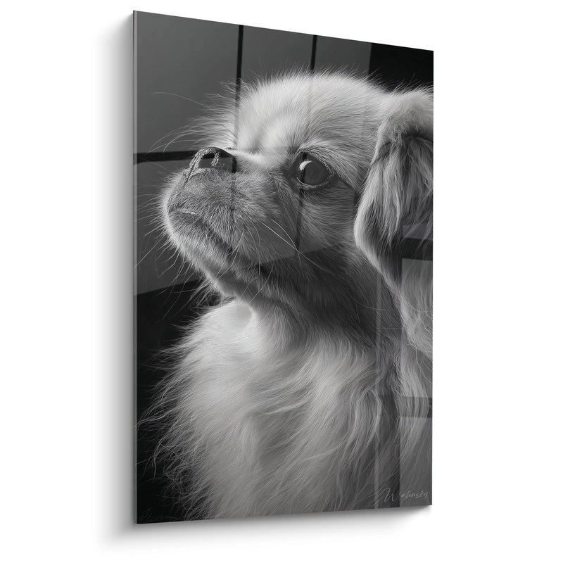 Tableau Pékinois Portrait Noir et Blanc Regard Contemplatif - Tendresse Canine - Edition Pekinois