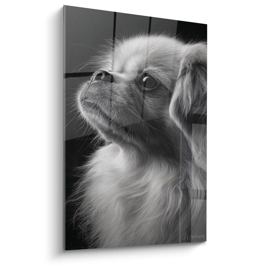 Tableau Pékinois Portrait Noir et Blanc Regard Contemplatif - Tendresse Canine - Edition Pekinois