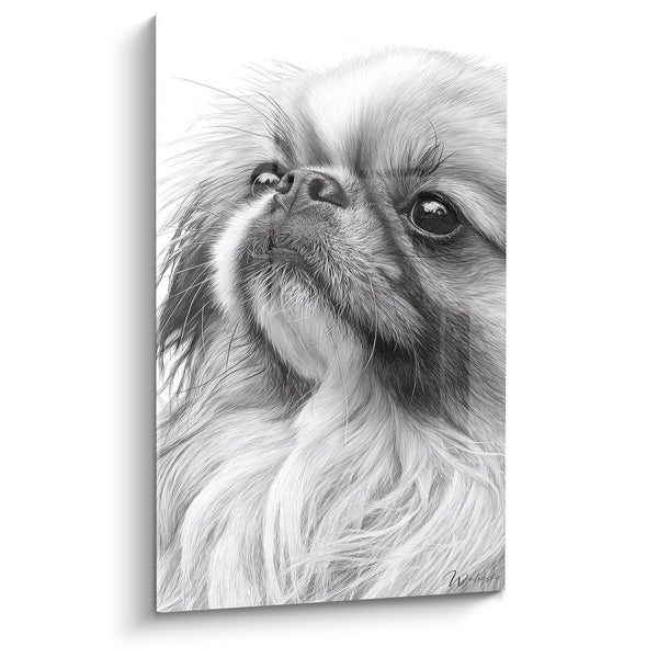 Cuadro Retrato Canino de Ojos Expresivos en Blanco y Negro - Mirada Tierna - Edición Pekinés
