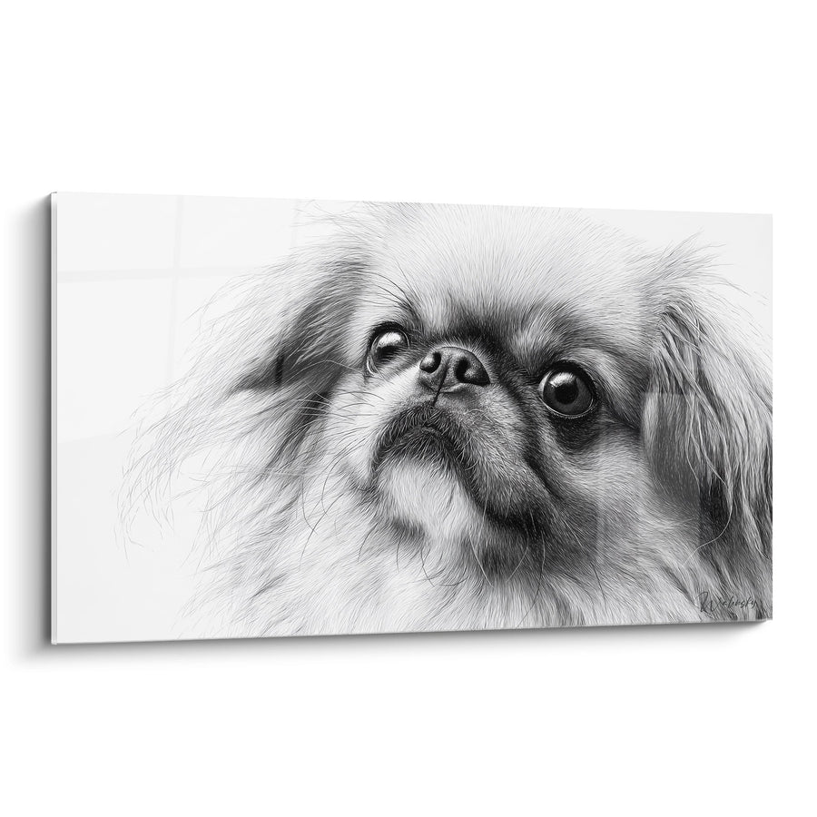 Hundeporträt-Gemälde mit ausdrucksstarken Augen in Schwarzweiß - Zarter Blick - Pekinese Edition