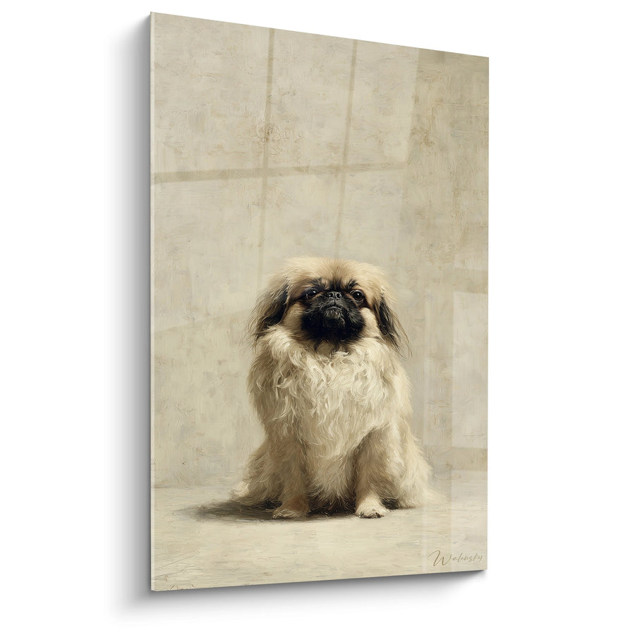 Bild Kleiner Langhaariger Hund auf beigem Hintergrund - Klassisches Hundeporträt - Pekinese Edition