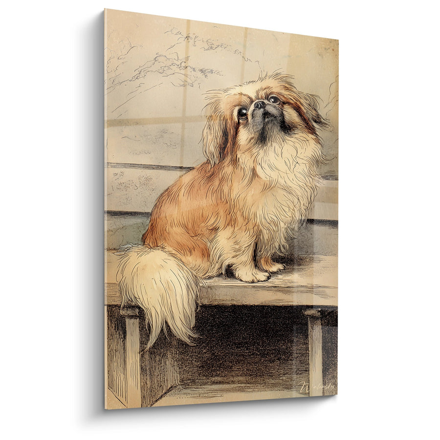 Tableau Pékinois Roux et Blanc Assis sur Banc - Portrait Nostalgique - Edition Pekinois