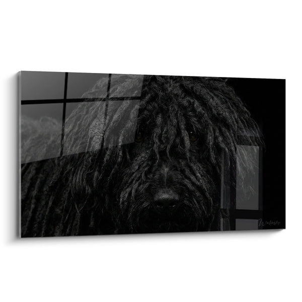 Cuadro Perro con Trenzas Negras Retrato Artístico - Mirada Intensa - Edición Puli
