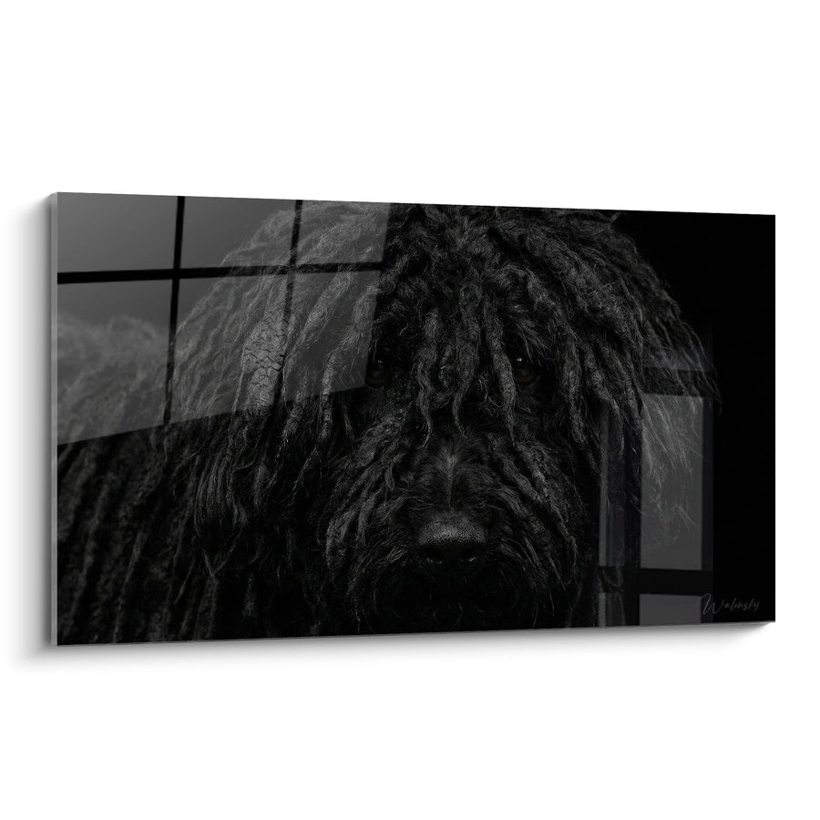 Tableau Chien aux Dreadlocks Noires Portrait Artistique - Regard Intense - Edition Puli