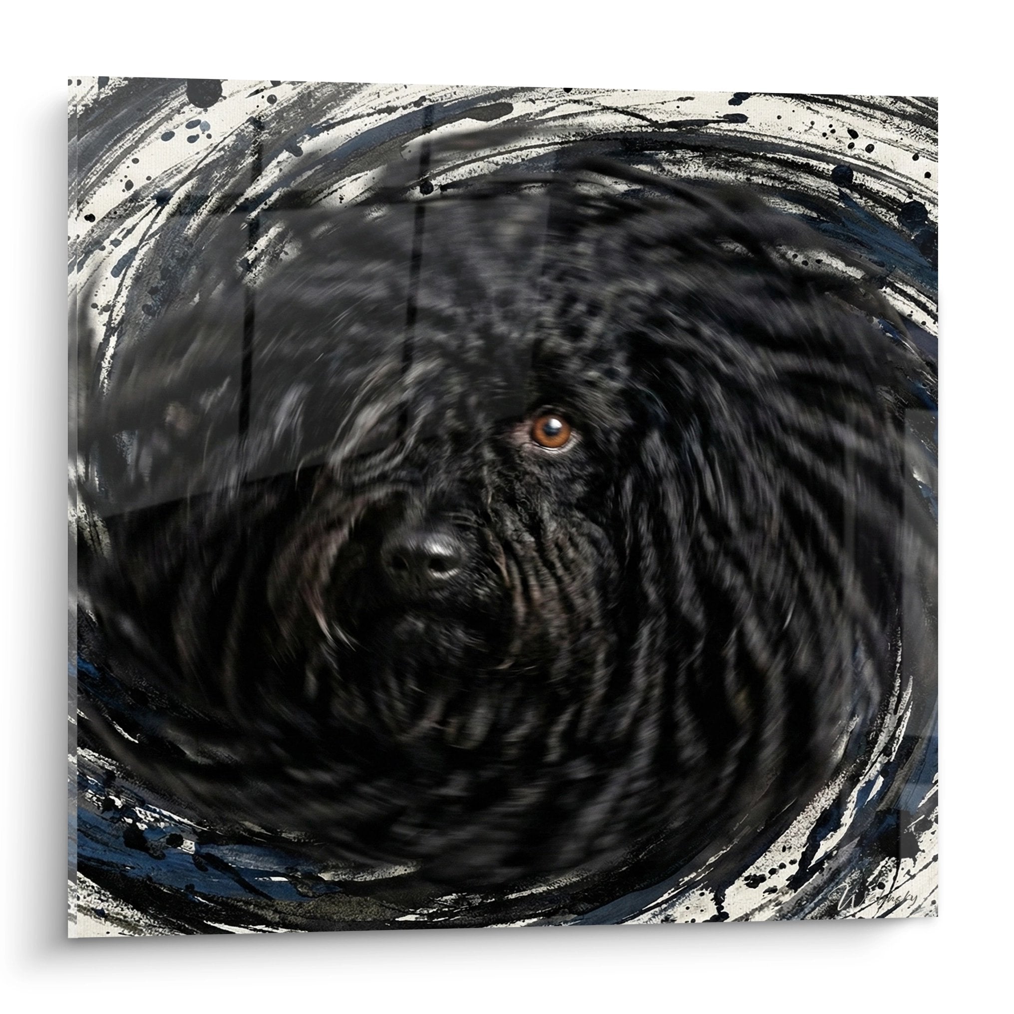 Tableau portrait Puli tourbillon artistique gris bleu regard ambré intense edition chien cordeaux