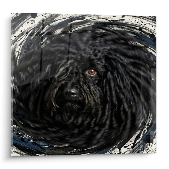 Porträt-Gemälde Puli künstlerischer Wirbelwind graublau intensive bernsteinfarbene Augen Hundeausgabe Seile