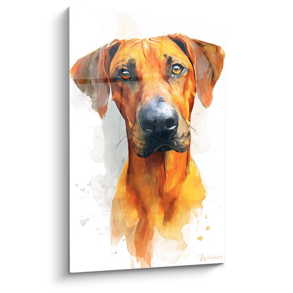 Cuadro Retrato de Perro con Tonos Naranja y Dorados - Mirada Intensa - Edición Rhodesian Ridgeback