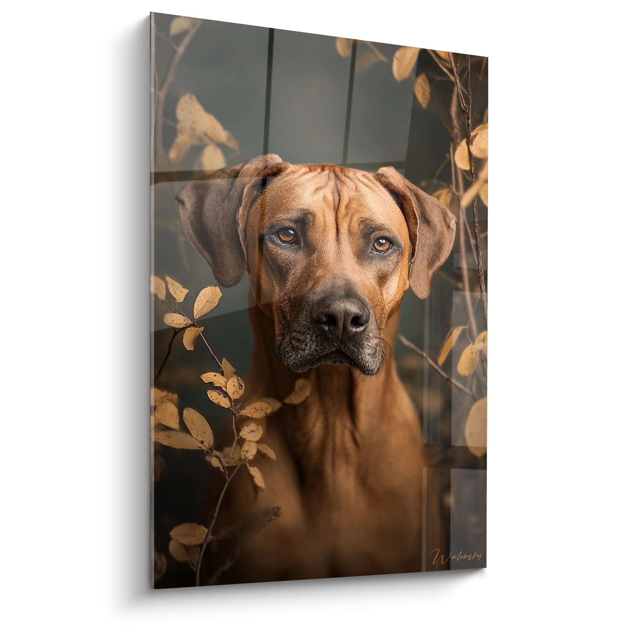Portrait artistique Rhodesian Ridgeback fauve regard melancolique feuillage dore automnal tableau mural