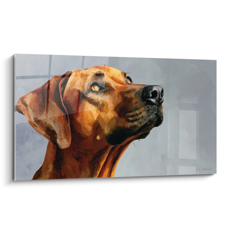 Quadro Cane Fulvo dallo Sguardo Penetrante - Ritratto Espressivo - Edizione Rhodesian Ridgeback
