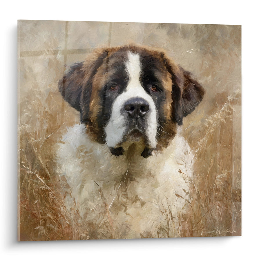 Tableau Saint-Bernard Majestueux aux Tons Dorés - Portrait Contemplatif - Edition Saint Bernard
