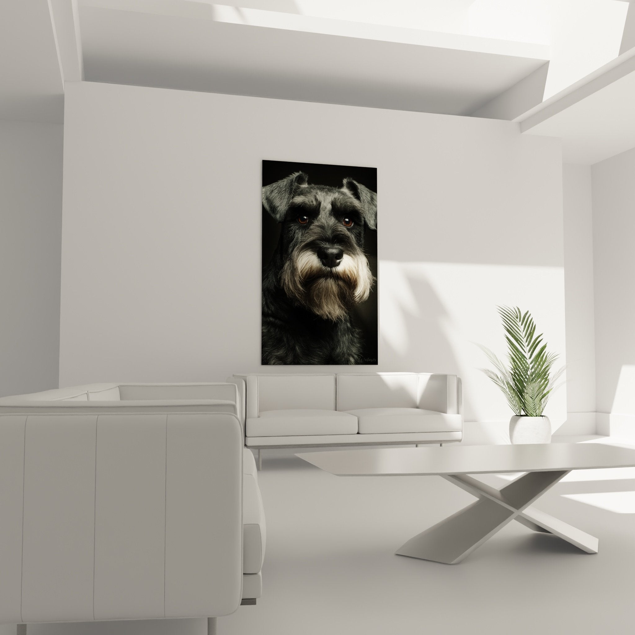 detail portrait schnauzer pelage gris texture poils barbe blanche yeux ambres expressifs gros plan